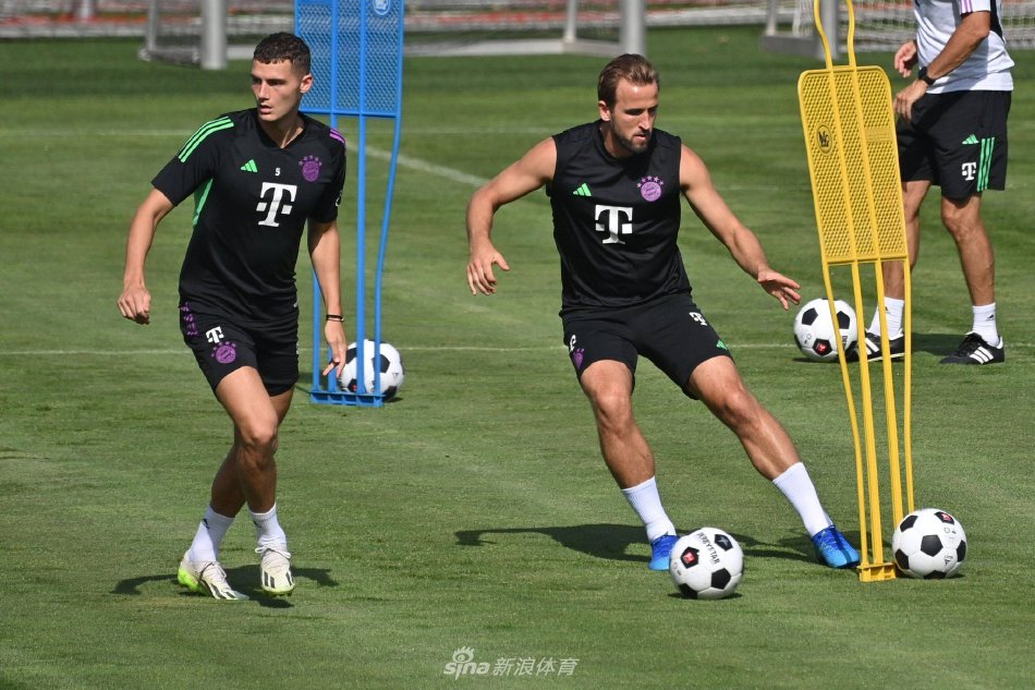 为确保文章 为确保文章