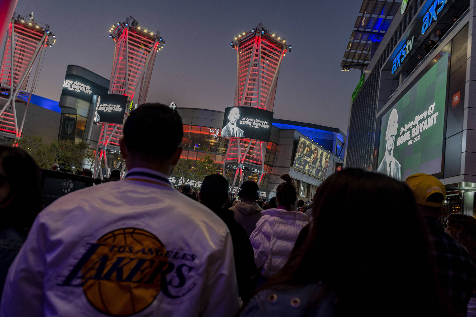 维蒂尼亚这 维蒂尼亚这